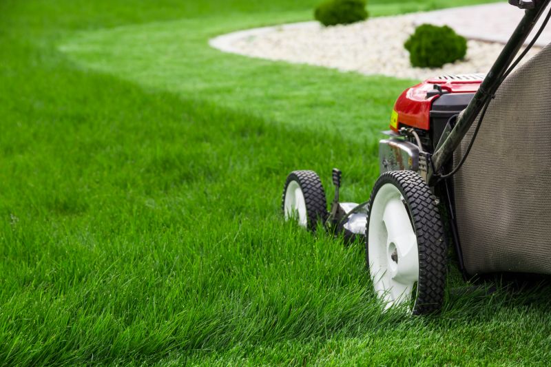 Commercial Lawn Mowing detail