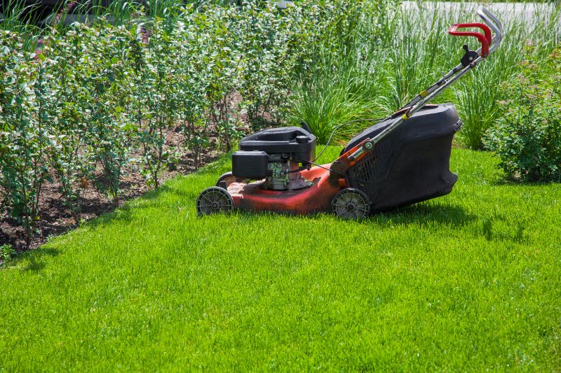 Holiday Lawn Care Deals