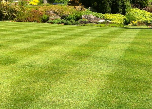 Commercial Grass Cutting in Barrington