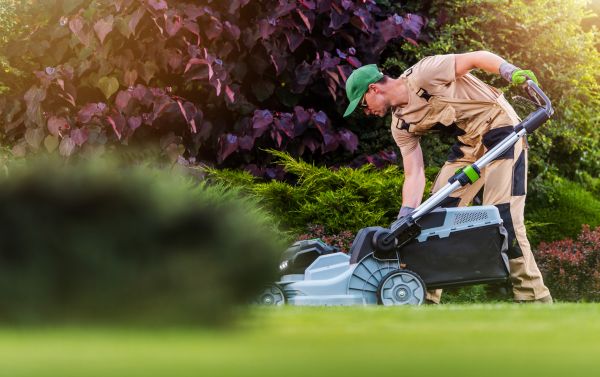 Lawn Care And Maintenance in Barrington