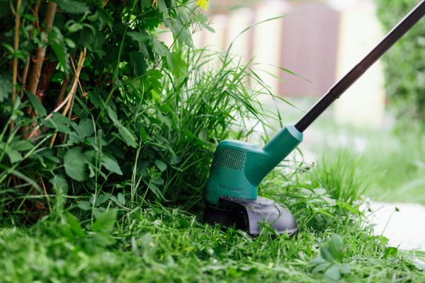 Weed Whacking in Barrington