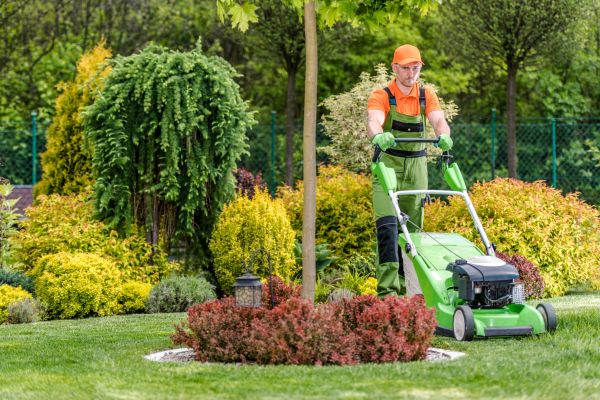 Yard Service in Barrington