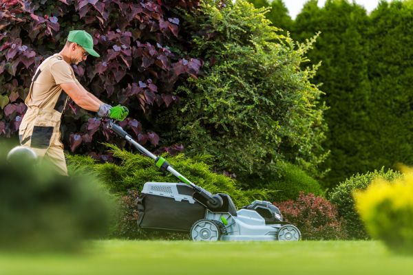Lawn Management in Barrington
