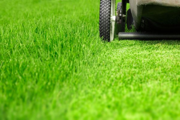 Weekly Lawn Care in Barrington