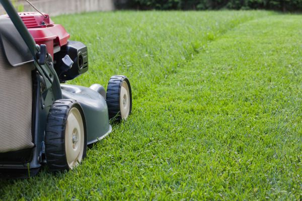 Summer Lawn Care in Barrington