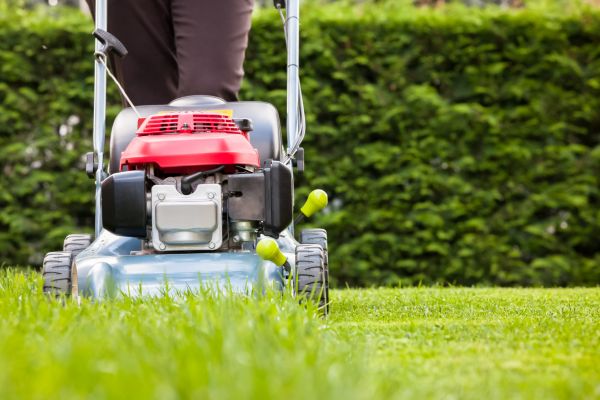Grass Trimming Service in Barrington