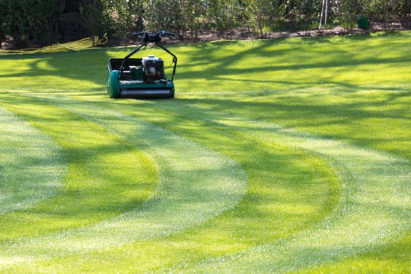 Business Lawn Mowing in Barrington