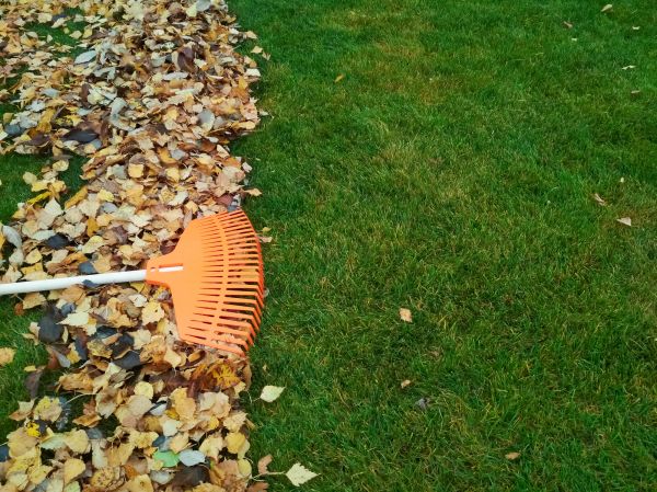Fall Lawn Care in Barrington