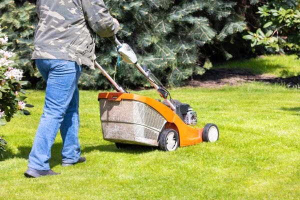 Springtime Lawn Care in Barrington