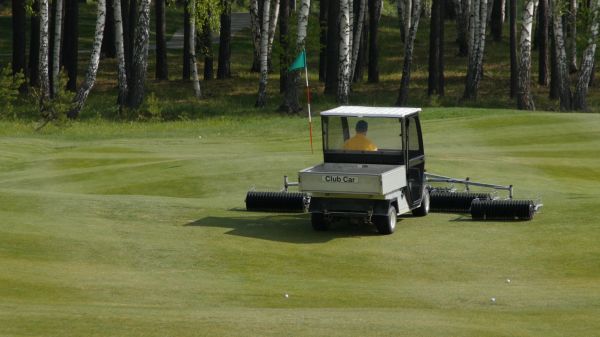 Golf Course Grass Cutting
